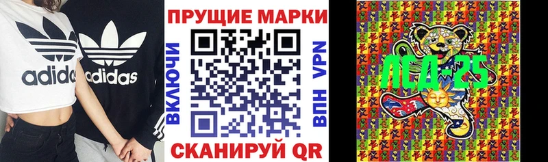 дарк нет наркотические препараты  Вытегра  Наркотические марки 1,5мг 