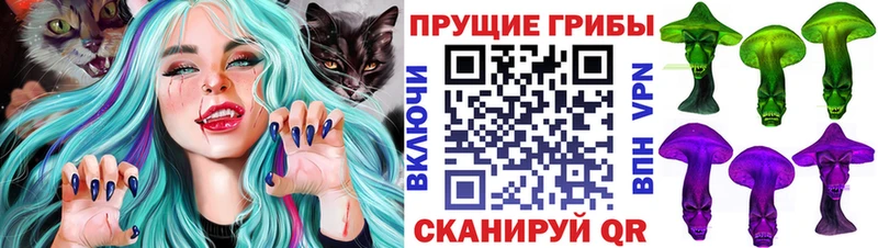 Псилоцибиновые грибы GOLDEN TEACHER  Вытегра 